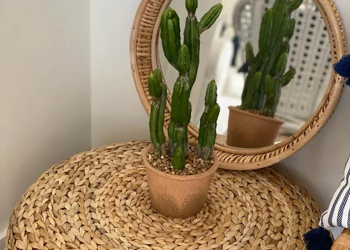 Bba - Beachfront Moledo (Viana do Castelo)